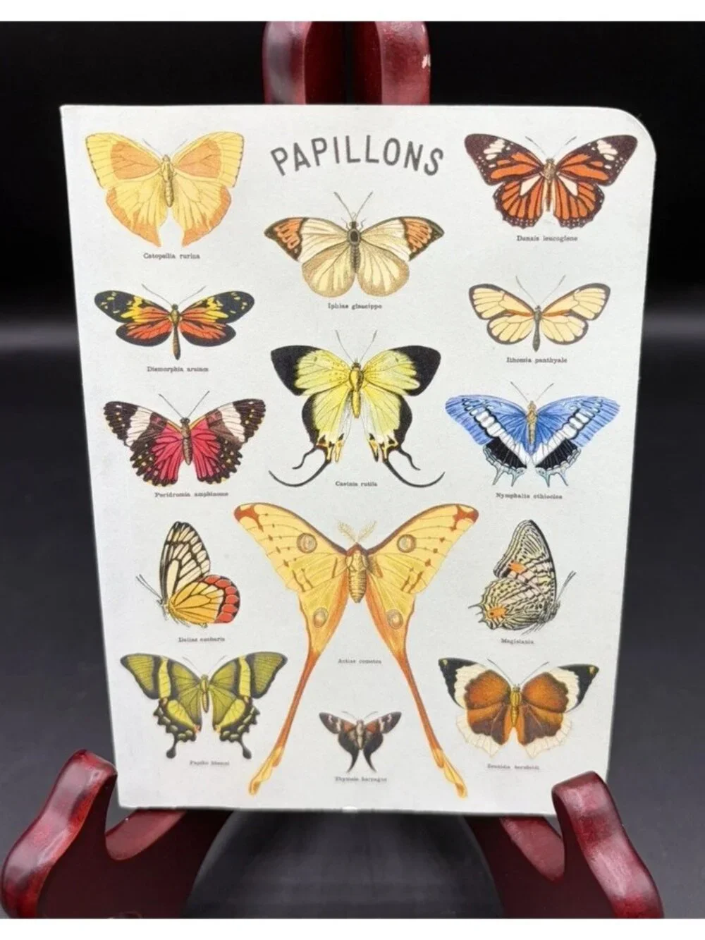 Cavallini & Co Butterflies Papillons Unlined Blank Journal Stationery USA
